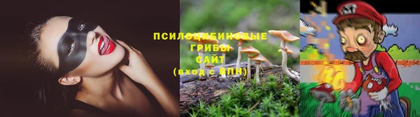 соль ск Абинск